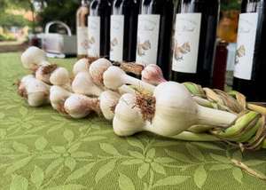 Green Garlic Dinner Series