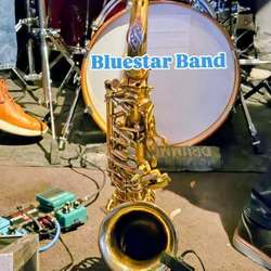 Bluestar Band at Jr's Old Packinghouse Cafe!