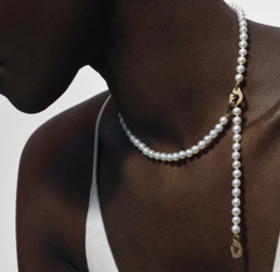 Dinh Van Trunk Show