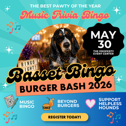 Basset Bingo Burger Bash 2026