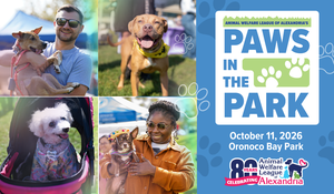 Paws in the Park 2026
