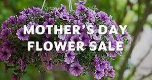 Mother's Day Flower Sale