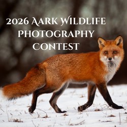 2026 Wildlife Photography Contest