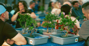 Bonsai & Brews at Thirsty Buffalo Brewing Company | Odessa