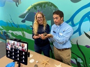 Virtual Summer Camp (Manatee Lagoon)