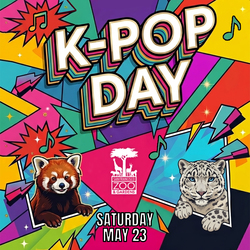 K-Pop Day at SF Zoo