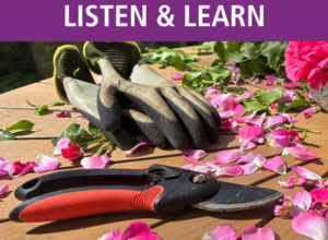 Gardening WITH Roses