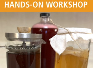 Kombucha, Jun, & Lacto-Fermented Sodas