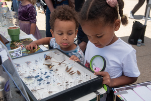 Pollinator Day at Presidio Tunnel Tops