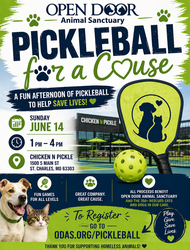 Pickleball for a Cause - Benefiting the cats and dogs of Open Door Animal Sanctuary
