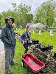 Greenwich Land Trust's Annual Native Plant Sale