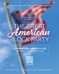 The Great American Block Party