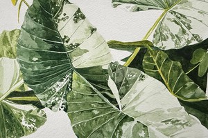 Pushing Through | Arcangel Gallery Exhibit at the Botanical Gardens