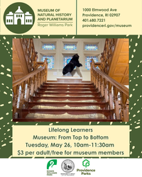 Lifelong Learners: Museum: Top to Bottom