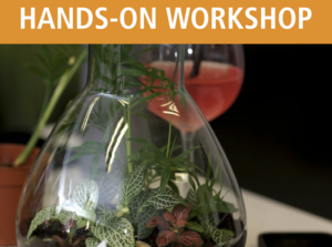 Toast to Terrariums