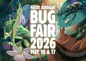 Bug Fair 2026 | Natural History Museum of L.A. County