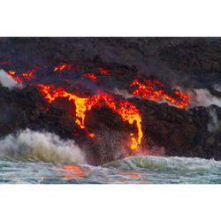 Forces of Nature Opening Reception