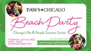 PAWS Chicago Beach Party