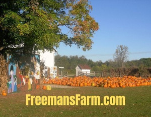 Freeman's Farm Fall Festival