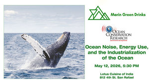 How Ocean Noise Is Changing Our Blue Planet