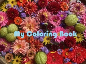 My Coloring Book Lecture at UD Botanic Gardens