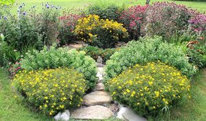 NJ Audubon Native Plant Sale May 2nd 10:00 am to 4:00 pm