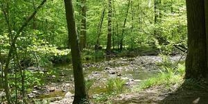 NJ Audubon: Morning Walk at Scherman Hoffman Wildlife Sanctuary