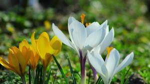 Exploring Mindfulness and Compassion for Connecting in a Fractured World