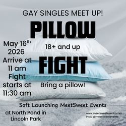 Gay Singles Pillow Fight @ North Pond in Lincoln Park