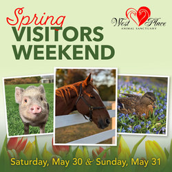 Spring Visitors Weekend at West Place