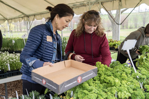 Rodale Institute Spring Organic Market Plant Sale
