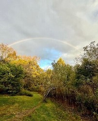 Wildlands - Restoration Tour @ Archibald Johnston Conservation Area