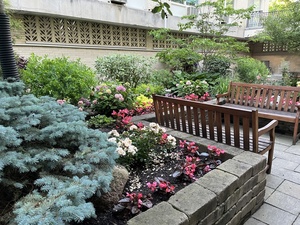 32nd Annual Oak Park & River Forest Garden Walk