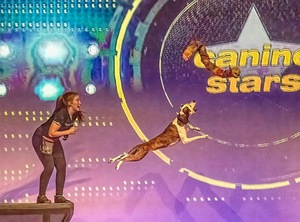 THE CANINE STARS STUNT DOG SHOW