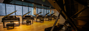 Private Selection Event: One-on-One Piano Consultations