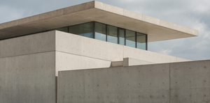 Lecture: Professor Eric Mumford