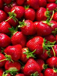 Strawberry Festival