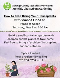 How Not to Kill Your Houseplants