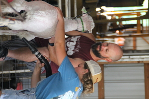 Schnecksville Community Fair