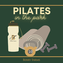 Pilates in the Park