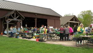Lac Lawrann Wildflower & Perennial Sale