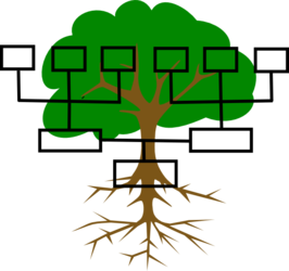 Your Family Tree 101 Workshop