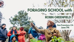 Foraging School - San Francisco, California