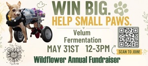 3rd Annual Among The Wildflowers Sanctuary Fundraiser