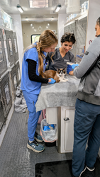 Joybound People & Pets Free Pet Vaccine and Microchip Clinic