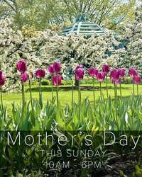 Mother's Day at Old Westbury Gardens
