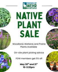 Native Plant Sale