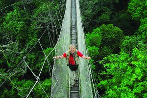 Mission Green — The Importance of Both Local and Global Forests