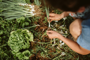 The Farm Supper | Southall Farm & Inn
