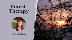 Forest Therapy – Summer Sunrise Session